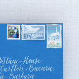 Blue Postage Collection Postage Stamps