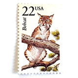 Bobcat Postage Stamps | North American Wildlife Series | Vintage Unused USPS Postage 22c | Pack of 10 Postage Stamps