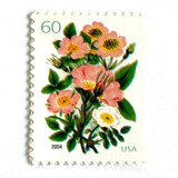 Garden Botanical Postage Stamps | Wedding Series | Vintage Unused USPS Postage 60c | Pack of 10 Postage Stamps