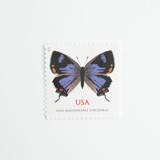 Forever Colorado Hairstreak Butterfly Stamps // Set of 10 // 1 ounce plus non-machinable // UNUSED Postage Postage Stamps