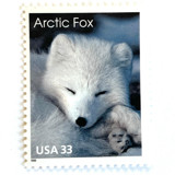 "Arctic Fox" Postage Stamps | Arctic Animals Series | Unused USPS Postage 33c | Pack of 10