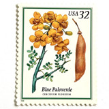 Blue Paloverde Postage Stamps | Flowering Trees | Arizona State Tree | Southwestern | Yellow Flower | Wedding Stamps | Vintage Unused USPS Postage 32c | Pack of 10 Postage Stamps