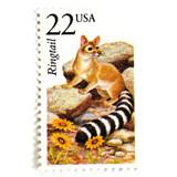 Ringtail Postage Stamps | North American Wildlife Series | Vintage Unused USPS Postage 22c | Pack of 10 Postage Stamps