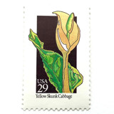 Yellow Skunk Cabbage Postage Stamps | American Wildflower Series | Yellow Flower | Botanical | Vintage Unused USPS Postage 29c | Pack of 10 Postage Stamps