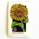 Common Sunflower Postage Stamps | American Wildflower Series | Yellow Flower | Botanical | Vintage Unused USPS Postage 29c | Pack of 10 Postage Stamps
