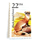 Black-Footed Ferret Postage Stamps | North American Wildlife Series | Vintage Unused USPS Postage 22c | Pack of 20 Postage Stamps