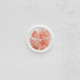 Orange Citrus Vellum and White Wax Seals | Set of 25 Wax Seals