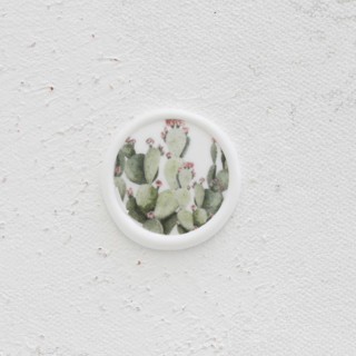 Cactus Wax Seals | Set of 25 Wax Seals