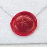 Tomato- Customizable Color- Set of 25 Hand-crafted Wax Seals Wax Seals