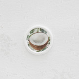 Tropical Coconut Wax Seals | Set of 25 Wax Seals