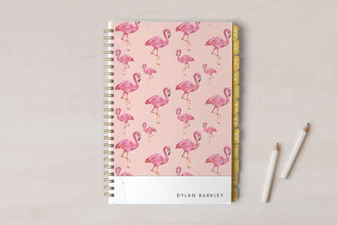 Flamingos Galore Journals and Planners