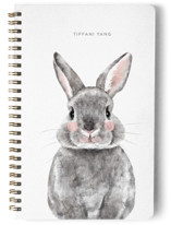 Baby Animal Rabbit