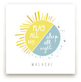 Play All Day, Sleep All... by Lisa Nelson