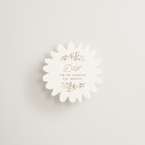 Meadow Mini Novelty Enclosure Cards