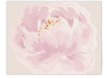 Baby Carraige Novelty Enclosure Cards