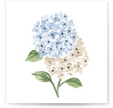 Martha Novelty Enclosure Cards