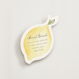 Zest Novelty Enclosure Cards