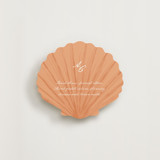 Shelly Seashell Novelty Enclosure Cards