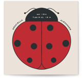 Poppy Novelty Enclosure Cards