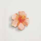Tropical Blush Hibiscus Novelty Enclosure Cards