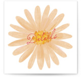 Floral Medley Novelty Enclosure Cards