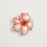 Leilani Novelty Enclosure Cards