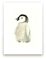 The Cold Fuzzies by Lizzie Bowman