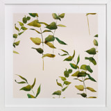 Embrace Greenery Nursery Art Prints
