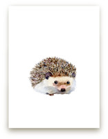 Baby Hedgehog by Jieun K Rasband