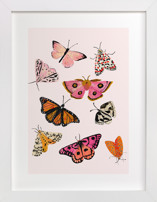 Moths & Butterflies Nursery Art Prints