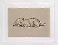 Sleep Companions 2 Nursery Art Prints