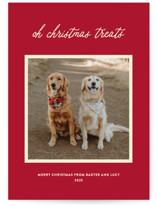 Christmas Treats by Sarah Hawkins Designs