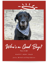 Good Boy Grand Holiday Cards