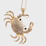 Cancer hanging ornament Ornaments