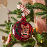 Custom Hand-Painted Pet Ornament Ornaments