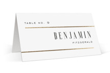 Documentary Foil-Pressed Place Cards