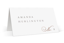 Eternal Foil-Pressed Place Cards