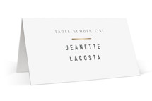 Minimal Monogram Foil-Pressed Place Cards