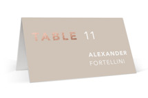 Bolden Foil-Pressed Place Cards