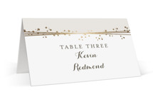 Tiara Foil-Pressed Place Cards