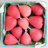 Pink Strawberry Birthday Beeswax Candles Party Candles