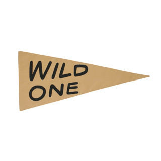 wild one pennant Pennant