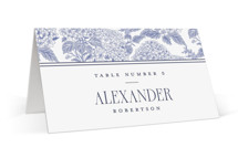 Southern Charm Toile Place Cards