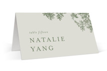 Vintage Tropics Place Cards