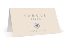two toned Place Cards
