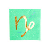 Zodiac Capricorn Large Napkins - Set of 16 Party Napkins