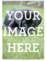 The Big Picture 5x7 Personalized Stationery