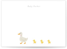 Baby Ducks by Angela Thompson