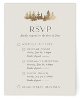 Vista Foil-Pressed Multi-Event RSVP Cards