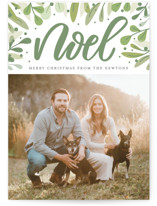 Abundant Noel